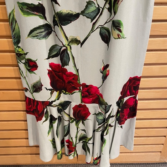 NWT Dolce & Gabbana Dress Mint Green and Red Roses - Picture 9 of 13